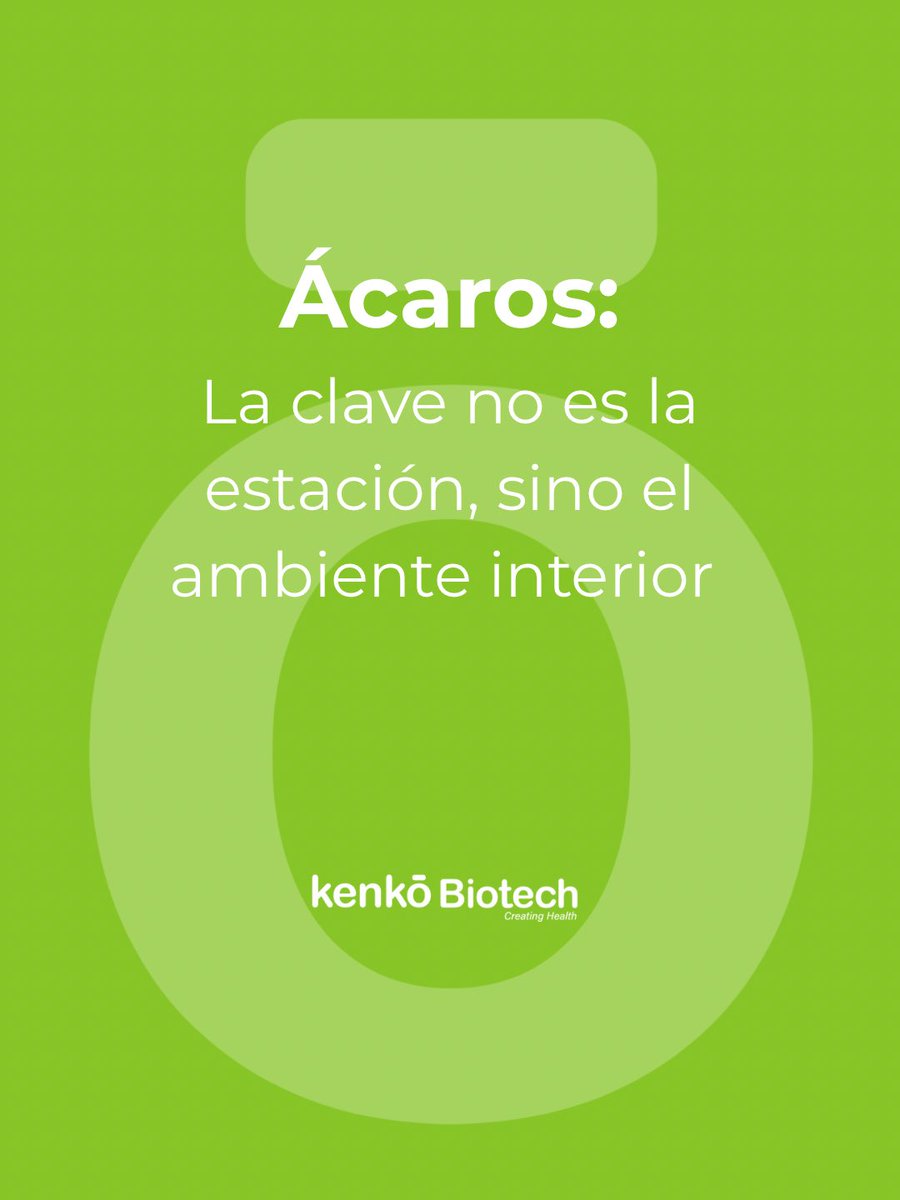 🕷️ Aunque el número de ácaros fluctúe, las partículas alergénicas que producen permanecen tiempo en colchones, sofás y polvo doméstico.
🤧 Por eso los síntomas suelen ser perennes.