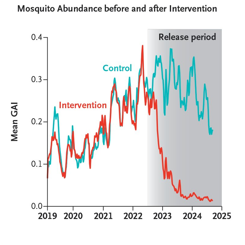 Just as China has been doing mosquito elimination successfully, so too has Singapore.

In areas where researchers released sterilized mosquitoes, the population collapsed, whereas areas without the intervention were unaffected.

We can kill the mosquitoes. We just have to try.