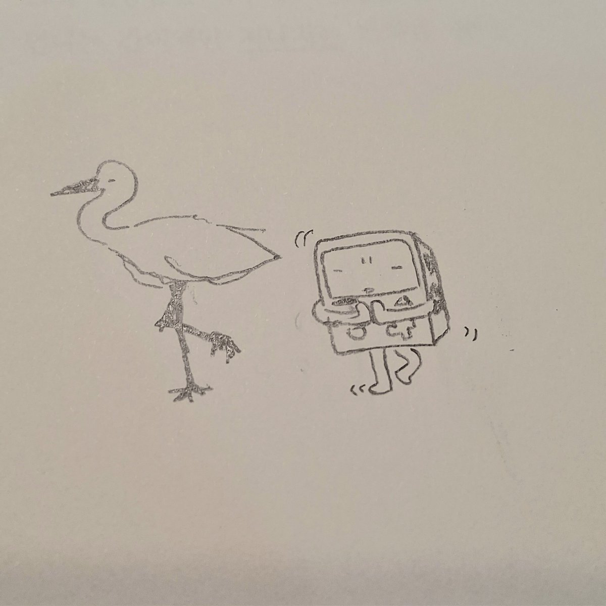 뇨끼 tweet media