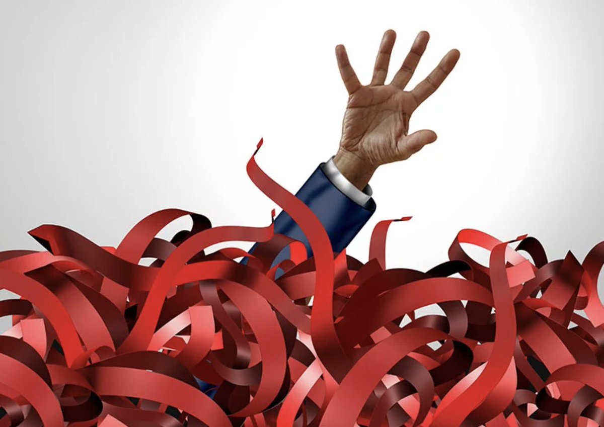 Kochie's Business Builders tweet media