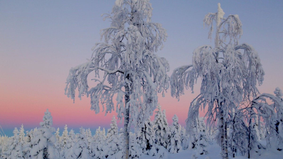 NaumanenR's tweet photo. Aamuyön tulta 12.2.2026 Valtimo FINLAND 📸Raija Kokkola. Värikästä torstaita! https://t.co/U4xnUt6q0z