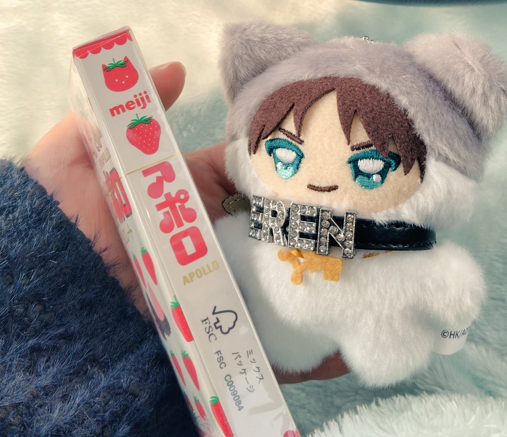 にゃぽろ〜🐾
横にも🐱さんいるよって教えてくれるちみちゃん