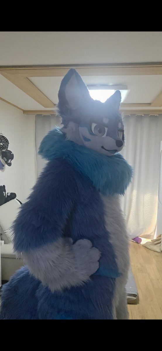 🐾화울(Whaul)🐾 tweet media