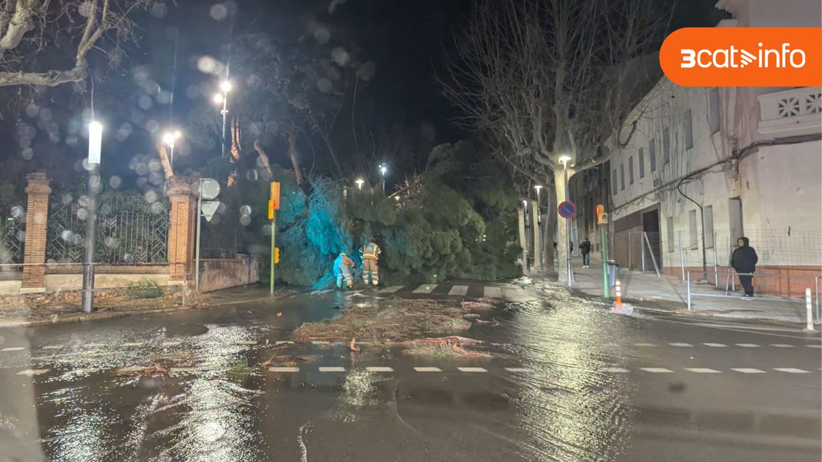 L'última hora de l'alerta per fort vent: circulació aturada a l'R4 entre Molins de Rei i Sant Feliu de Llobregat 3cat.cat/3catinfo/lulti…