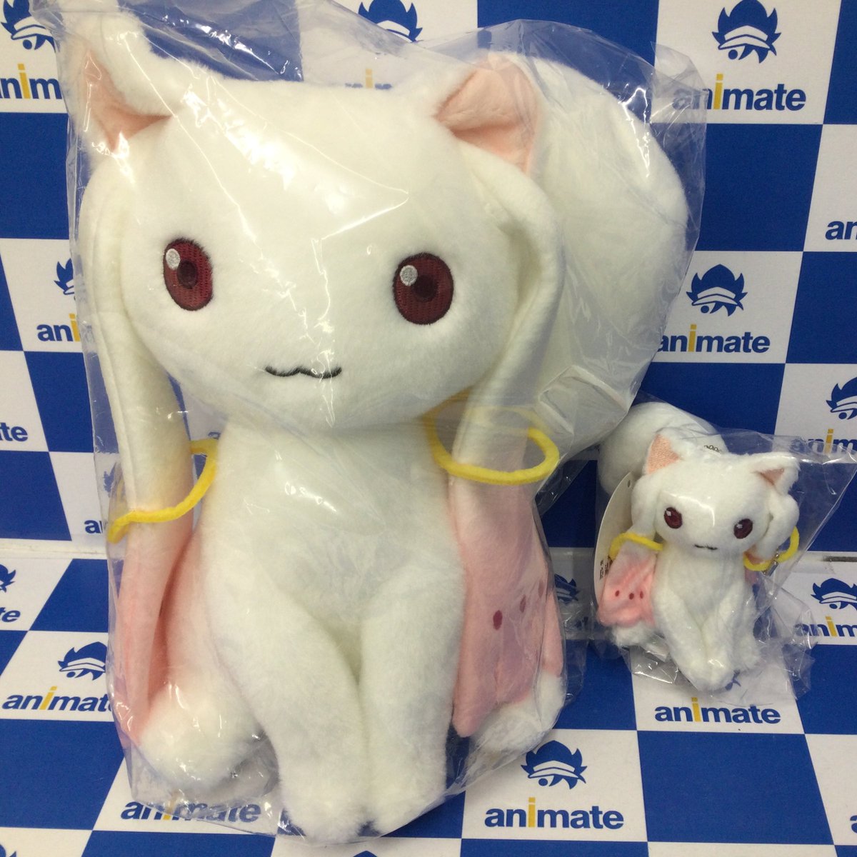 アニメイト池袋本店 on X: 