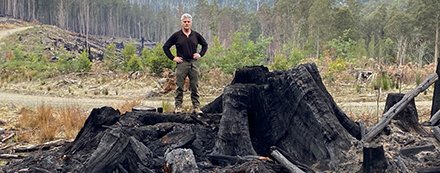 Opinion: David Lindenmayer – Native forest logging in Australia is far from sustainable timberbiz.com.au/opinion-david-… 
In response to the Ian Sauer opinion piece run on 23 January 2026 in Daily Timber News.  
📷 350-year-old tree logged in the Hartz Mountains of Tasmania.