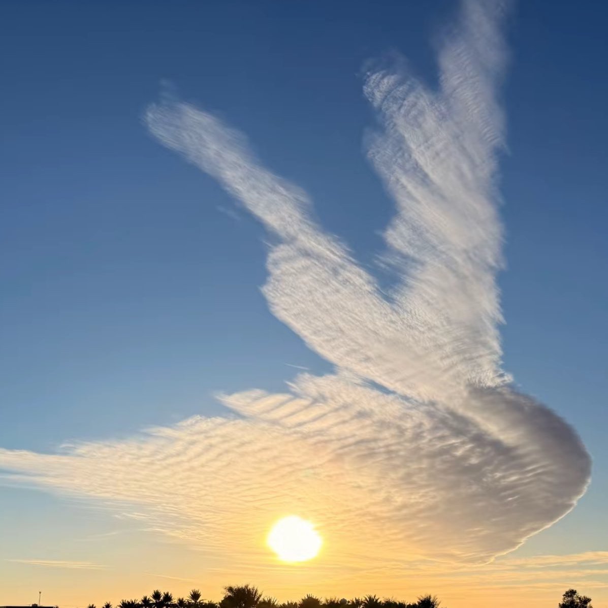 والطير سبَّح والسماء تبسمت 
 يارب صبحاً مشرقاً وجميلا"