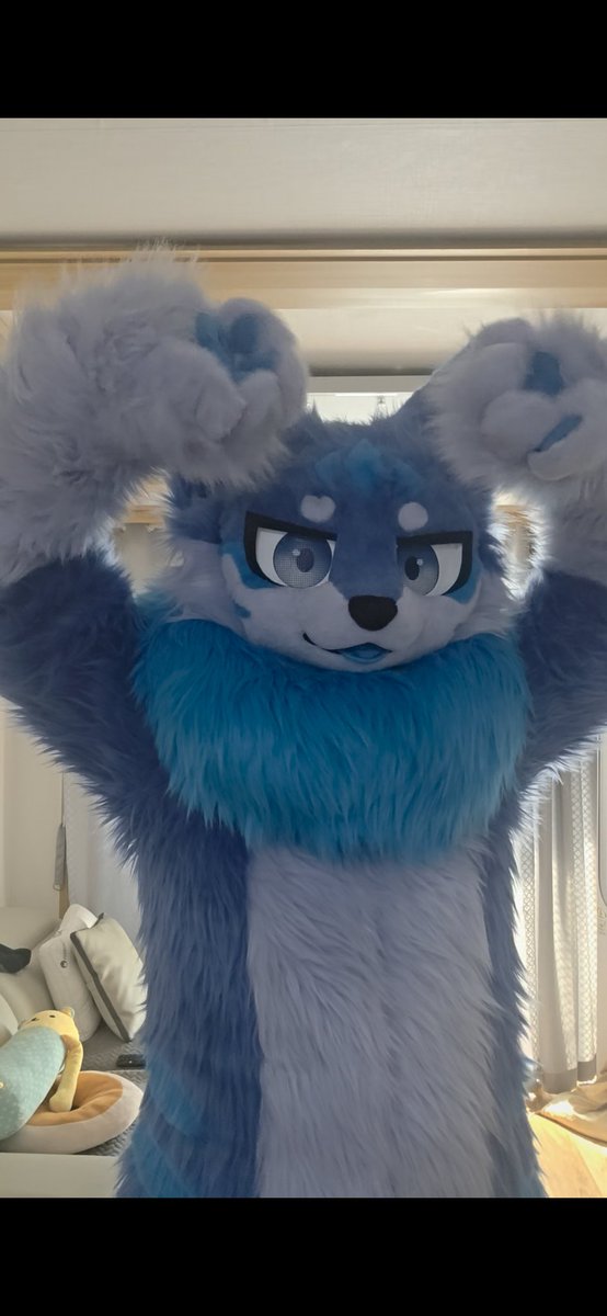 🐾화울(Whaul)🐾 tweet media