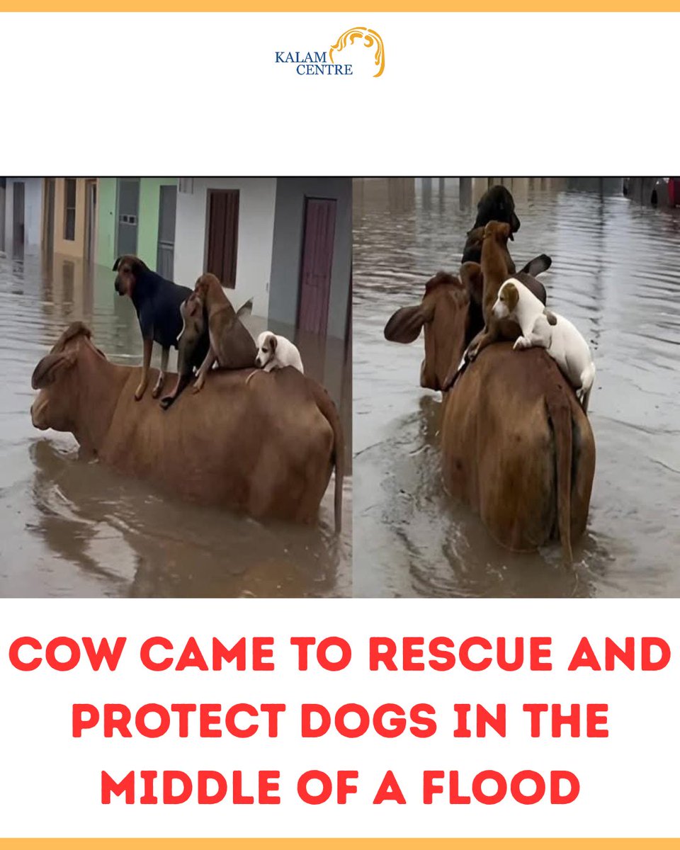 Kalam Center tweet media