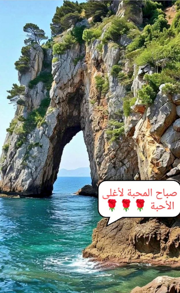 صباح الخير
نتنياهو لم ينجح إيرانياً لكنه نجح سورياً
طمأنه ترامب لغده ولإنجاح مخططه
لا أُحبذ تدخل رجال الدين بالسياسة
لكن واقع الشرق فرض:
رُفعت ببهو الكونغرس ٣ صور
صورة للشيخ أمين..حسناً(للبركة)
لكن وجود صور شيخي عقل..وعدم وجود صورة لشيخ عقل لبنان
هل هو ضعف 🇱🇧 أم مخطط مرسوم
ننتظر؟