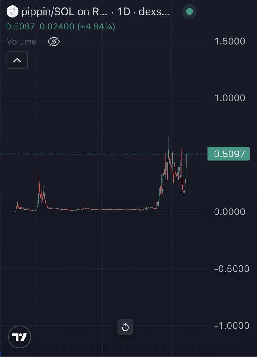 bolivian tweet media
