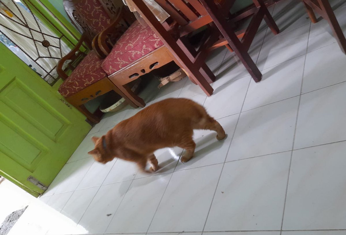 Jangan halangi aku, aku mau cari cinta sejatiku