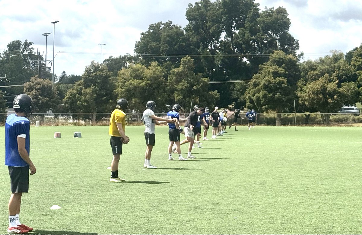 Prokick Australia tweet media