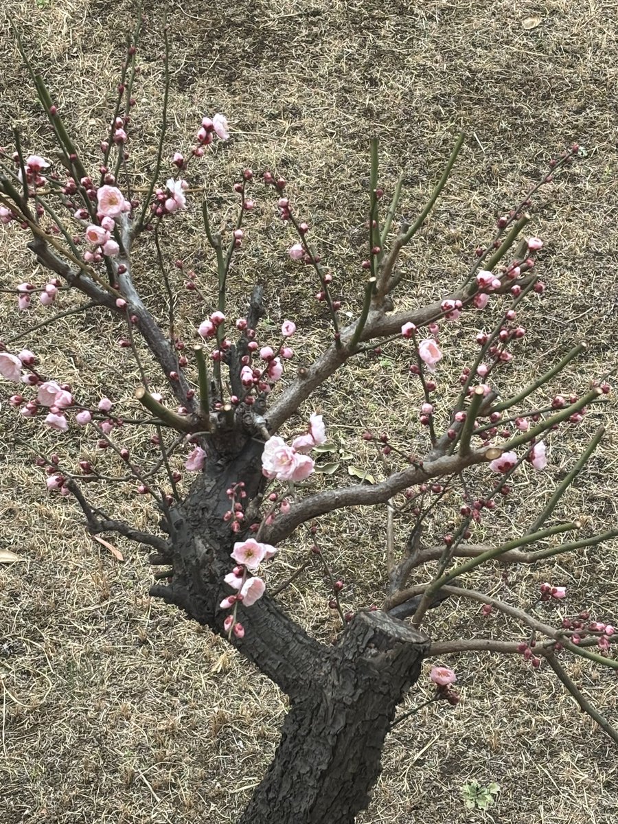 TAKAGI  H tweet media