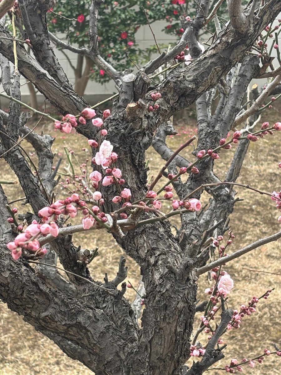 TAKAGI  H tweet media