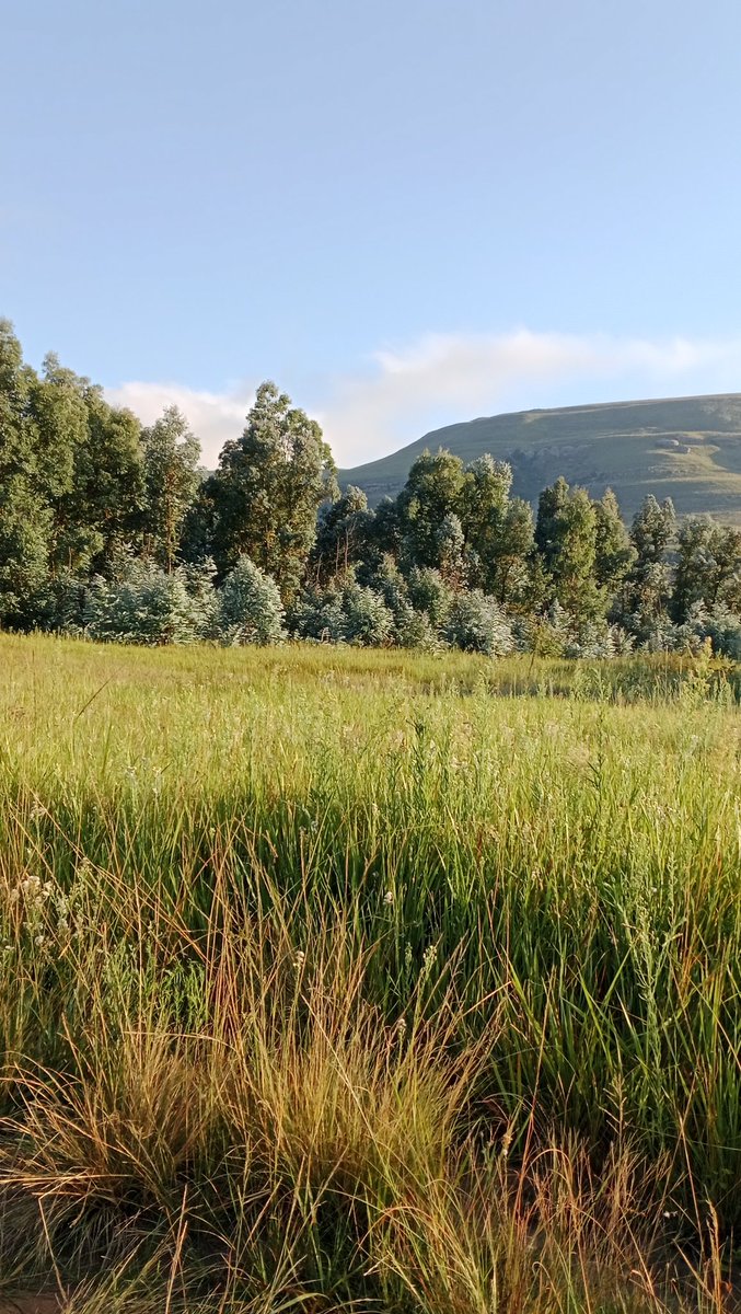 Good morning fam ❤️ 

Happy Thankful Thursday