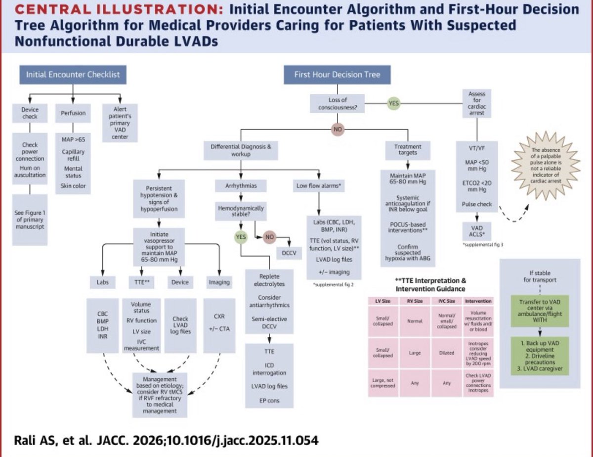 Anju Bhardwaj MD FACC tweet media
