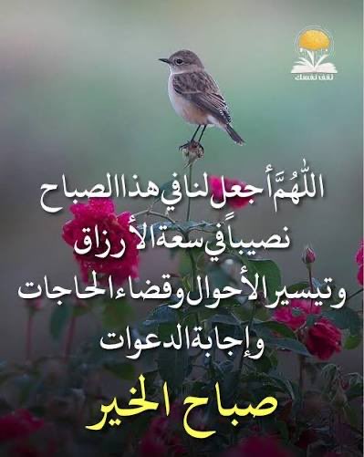 ابو احمد (@hassn_faye) on Twitter photo 