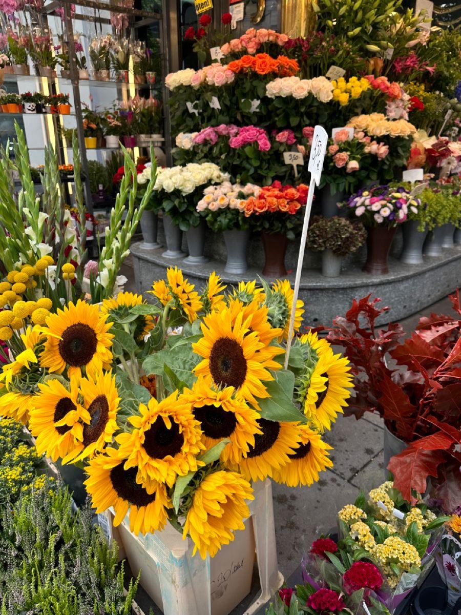 Lishay (@honestnaru1) on Twitter photo 