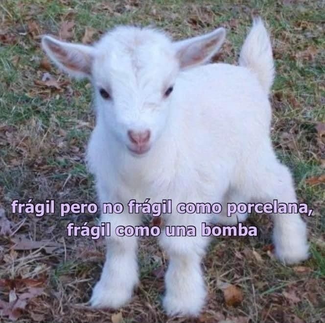 Pkittass (@pkittass) on Twitter photo 