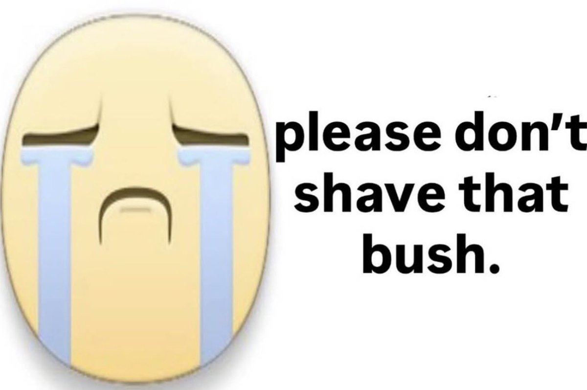 ᯓ★ pp 🧸 tweet media