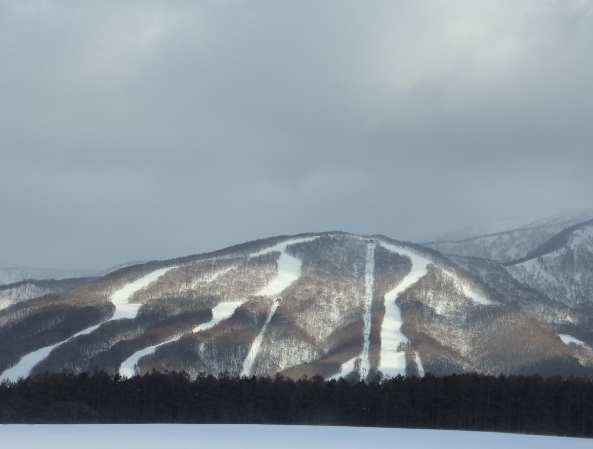 ゆこたんの森【岩手 雫石 南網張ありね 温泉】 (@yukotan_no_mori