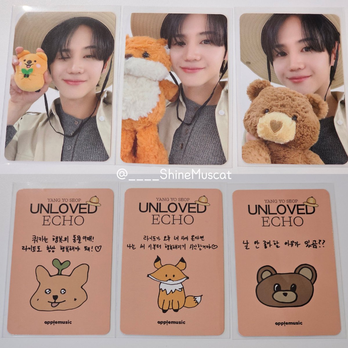 apple music offline lucky draw photocard 💛 They say quokkas are