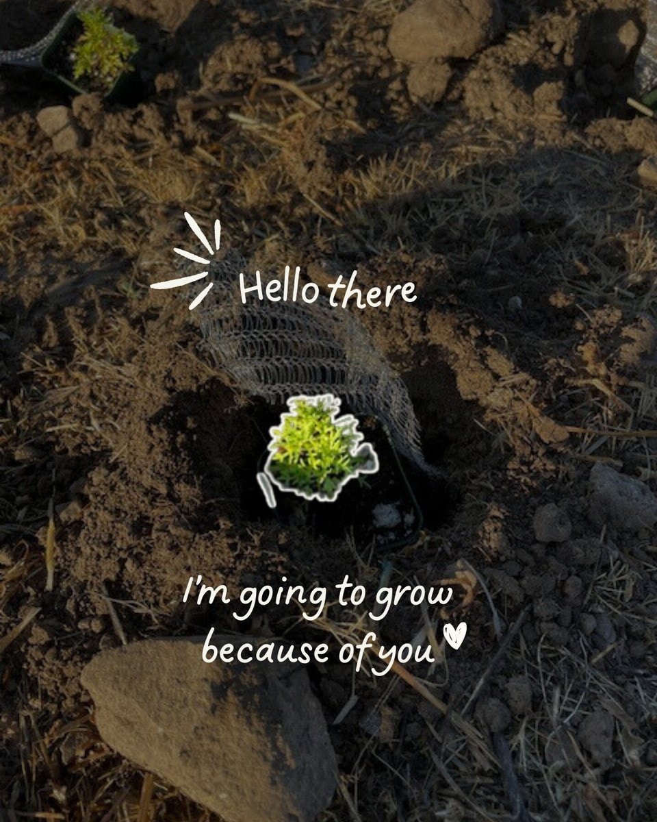 Santa Monica Mt Fund tweet media