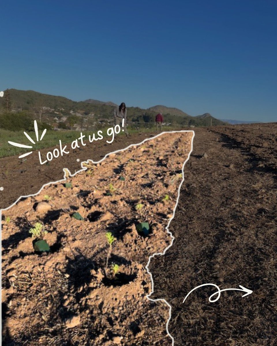 Santa Monica Mt Fund tweet media