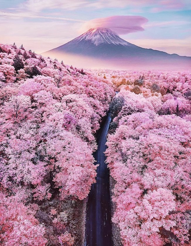 Mount Fuji, Japan