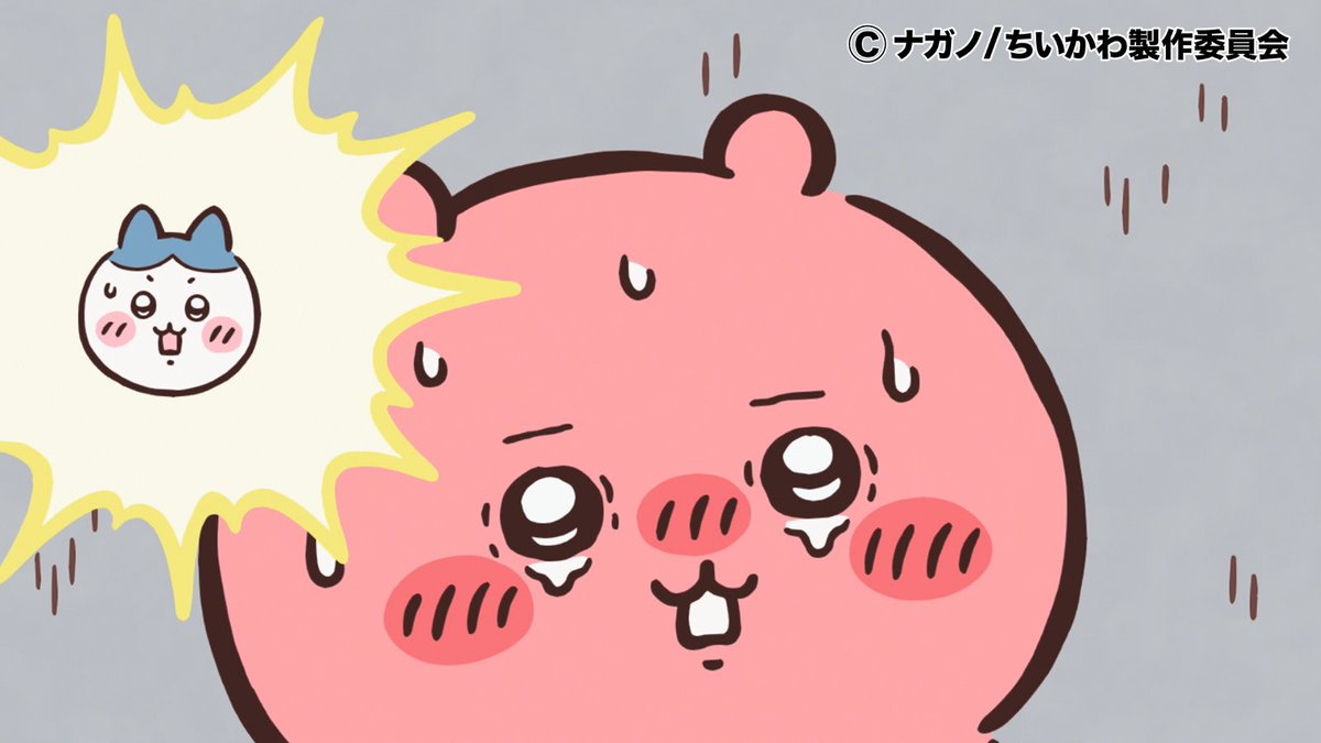 『ちいかわ』アニメ公式 tweet media