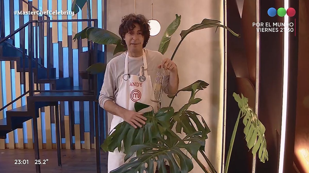 La forma en la que miraría un programa de Andy Chango regando plantas y charlando incoherencias un sábado a las 10 de la mañana. 
#MasterChefCelebrity