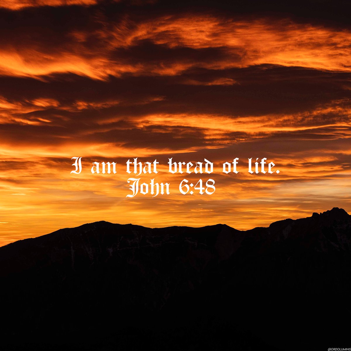"I am that bread of life." — John 6:48 KJV

#Jesus #God #Bible