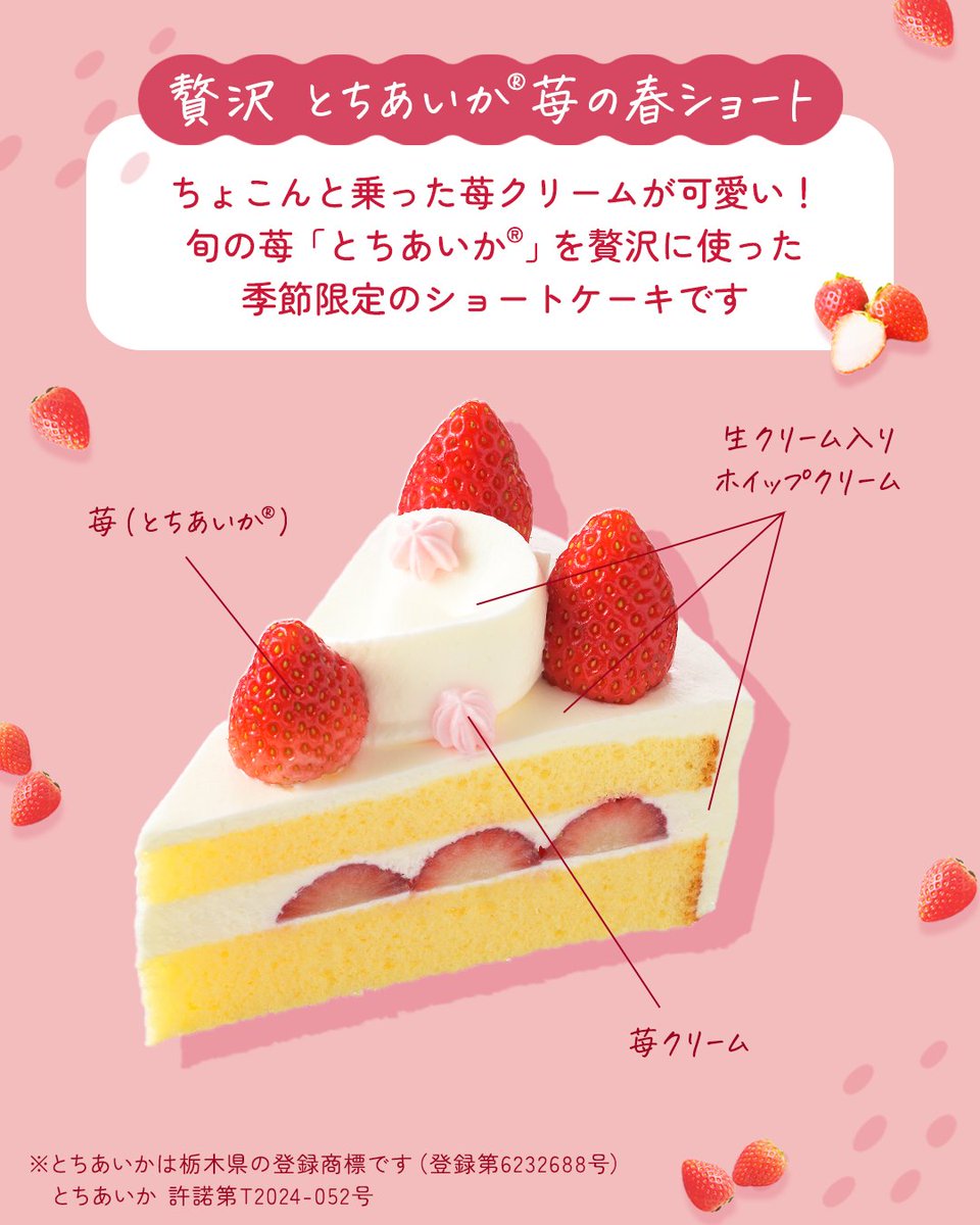 🍓*゜苺好きさん注目〜！⋆*🍓 🤍贅沢 とちあいか®苺の春ショート 旬の