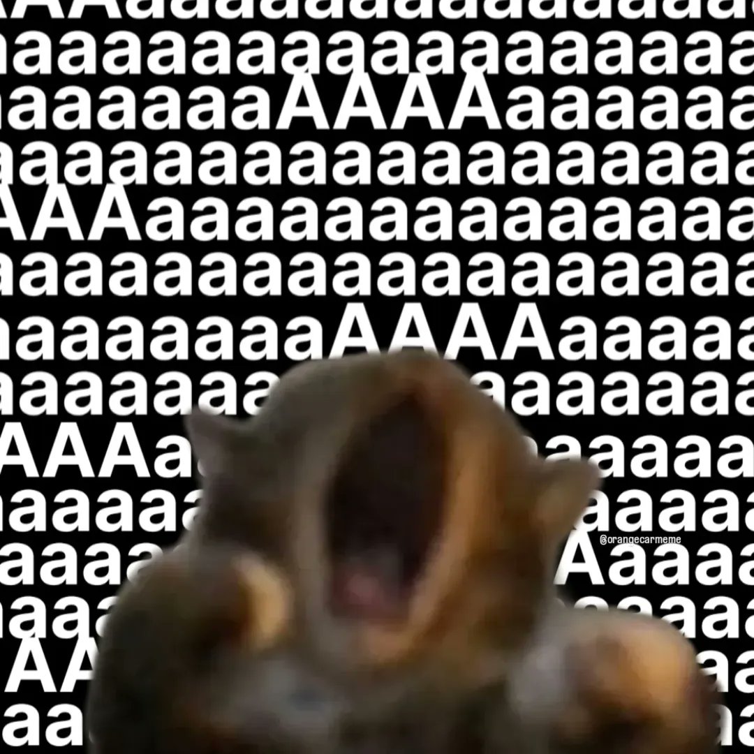 smol silly cat (@catsillyness) on Twitter photo 