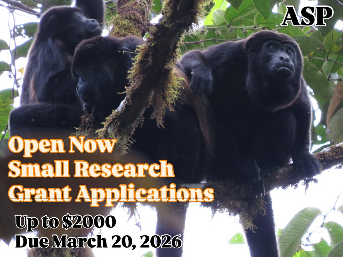 AmSoc Primatologists tweet media