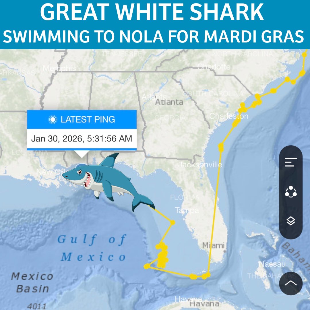 Zack Fradella tweet media