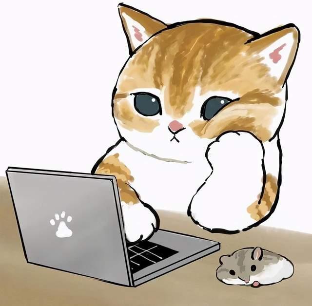 #U卡
ready 卡 中国大陆消费没有cashback了。目前就只能在境外消费场景才能有3%的cashback。金属卡目前的一点优势应该就是一定额度的免手续费取现了。以及google 汇率。

另外还可以在app内免费申请虚拟卡，看了一下卡号好像是不一样的，不知道啥用。

目前出了一个拉新活动，