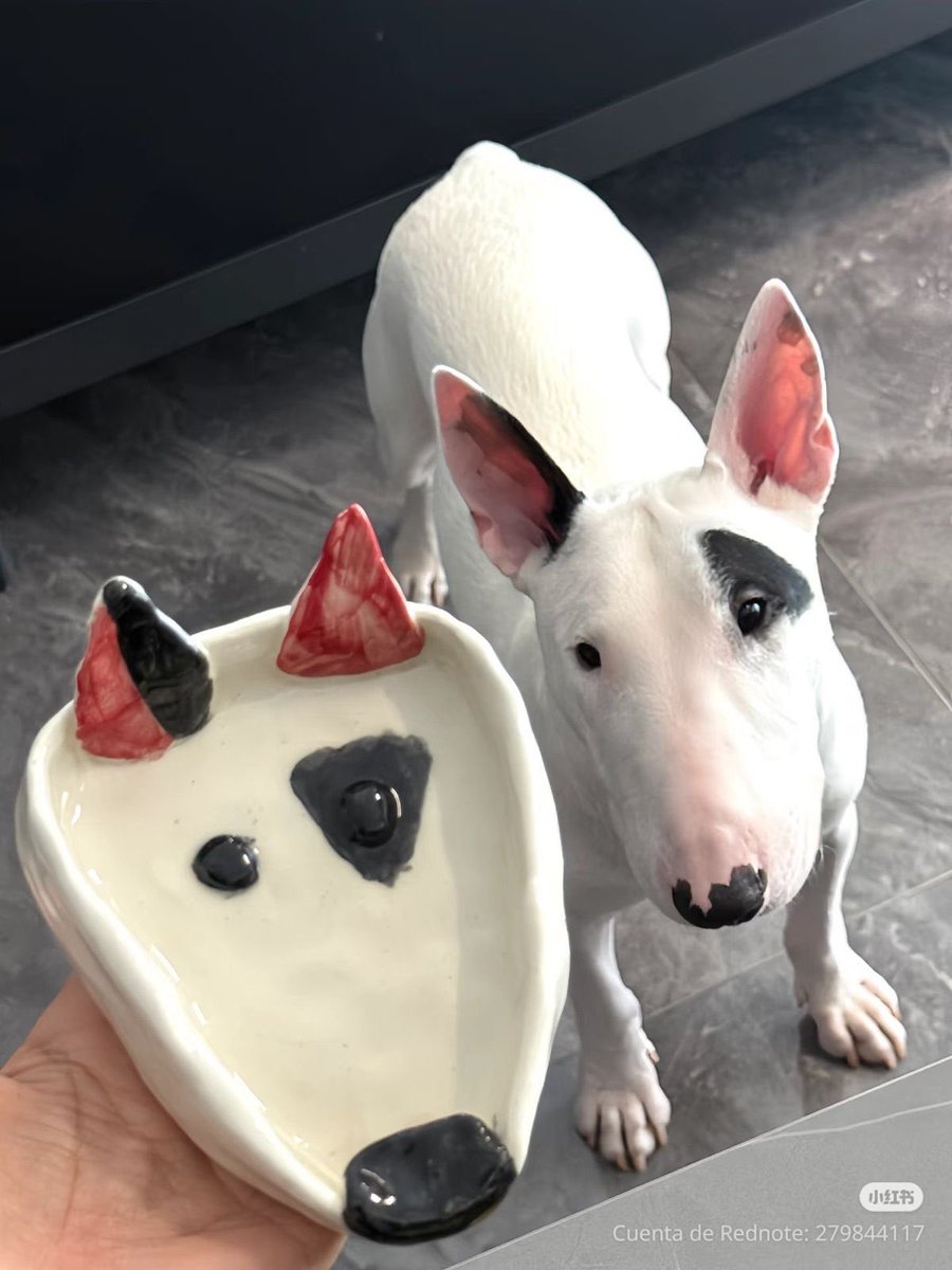 💖 (@twaniimals) on Twitter photo 