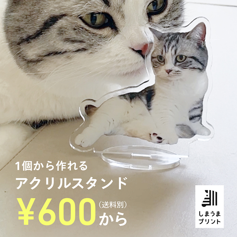 shimauma_plus's tweet photo. 思わず撮った、愛らしい姿の数々――今だけの“かわいい瞬間”を、アクリルスタンドにして飾ろう。
スマホの写真1枚からつくれて、ギフトにもぴったり。
世界にひとつ、我が家だけの思い出を、高品質で。