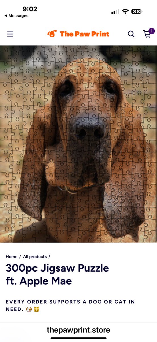 caninesearchdog's tweet photo. Paw Print puzzle of Apple available. Also, she is featured on the June 20 26 calendar. https://t.co/Glrw0ocKye