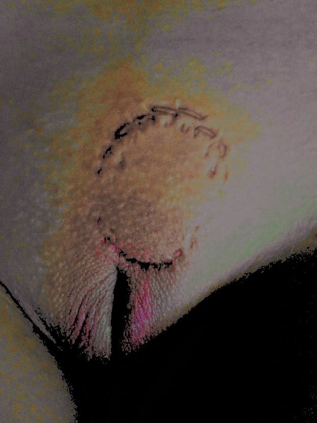 🦖’ 𝖔𝖍, 𝖎𝖘 𝓩𝖆𝖋𝝸́𝖆 tweet media