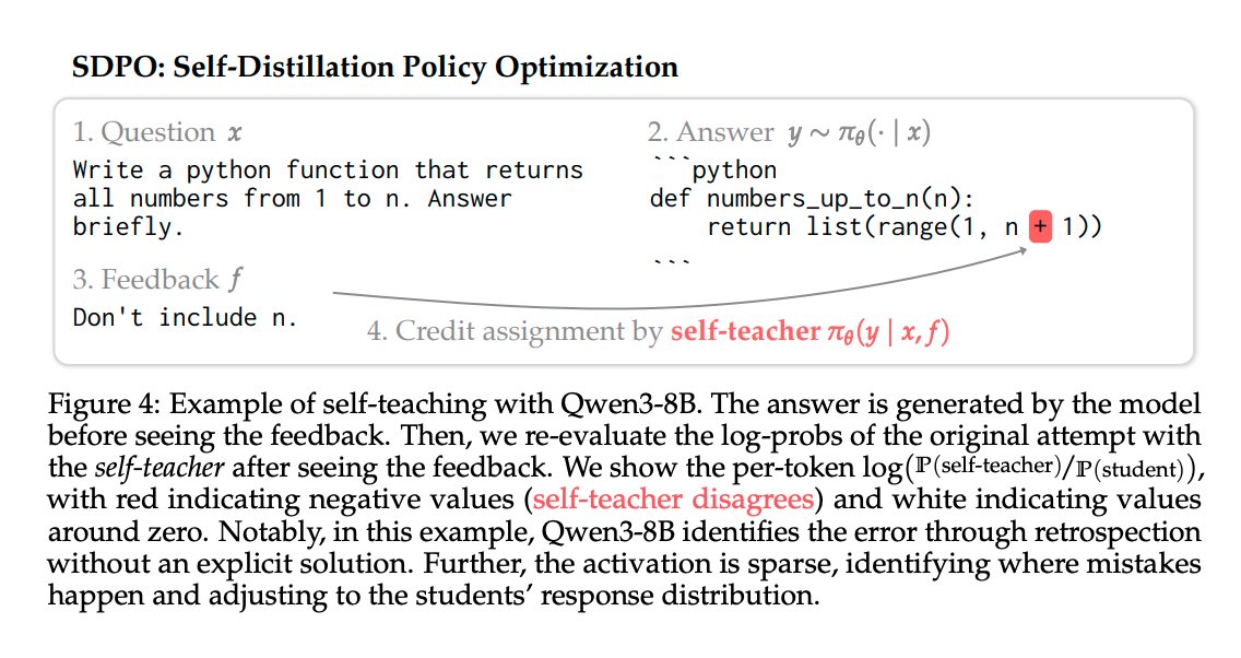 augustus odena tweet media