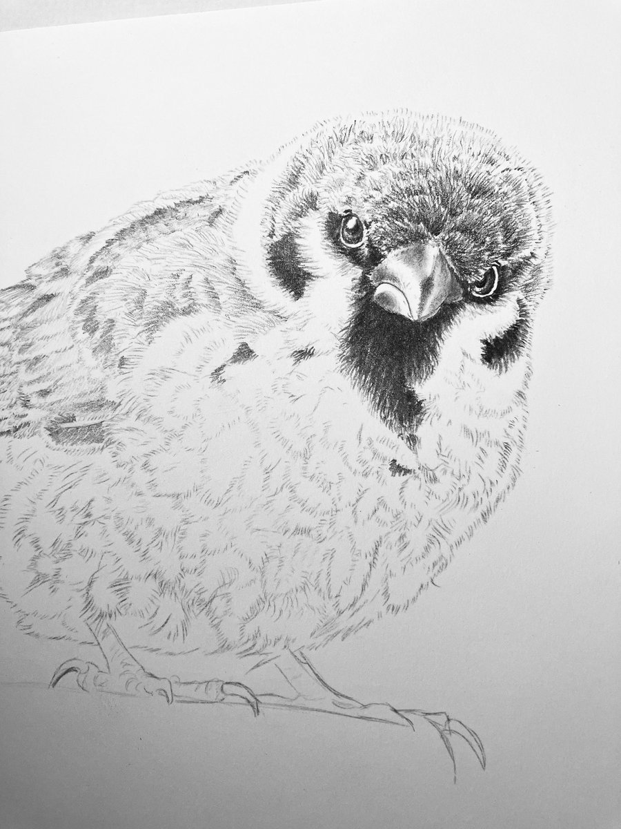 かきはらひとみ tweet media