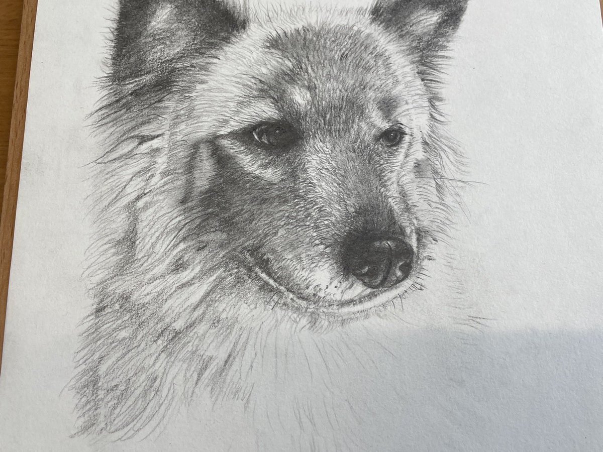 かきはらひとみ tweet media