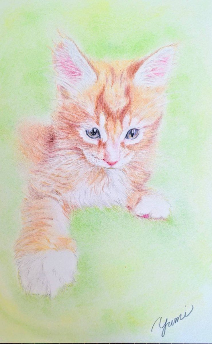 かきはらひとみ tweet media