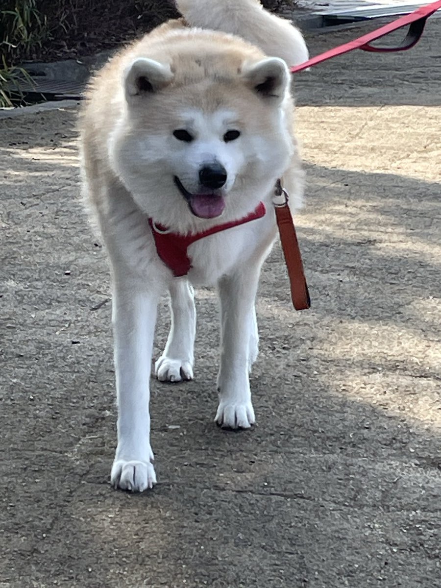 ْ (@65907_30_4) / Posts / X