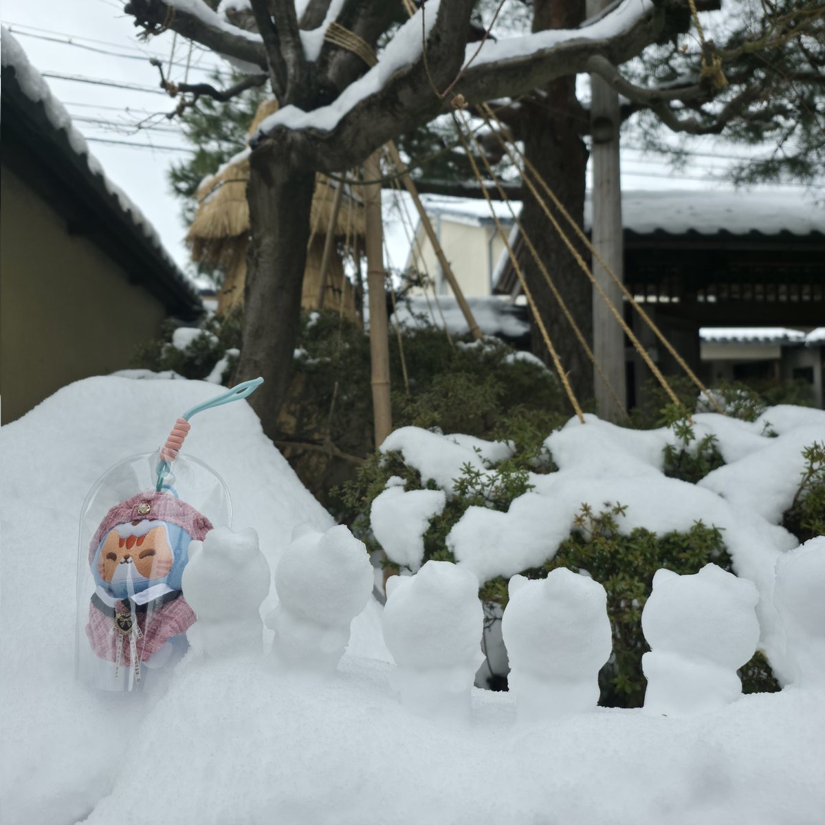 一緒にお出かけしました( *^^*)
❄が凄い( >﹏< *)  
 #社員旅行
 #兼六園  #金沢
 #武家屋敷   #NongZon
