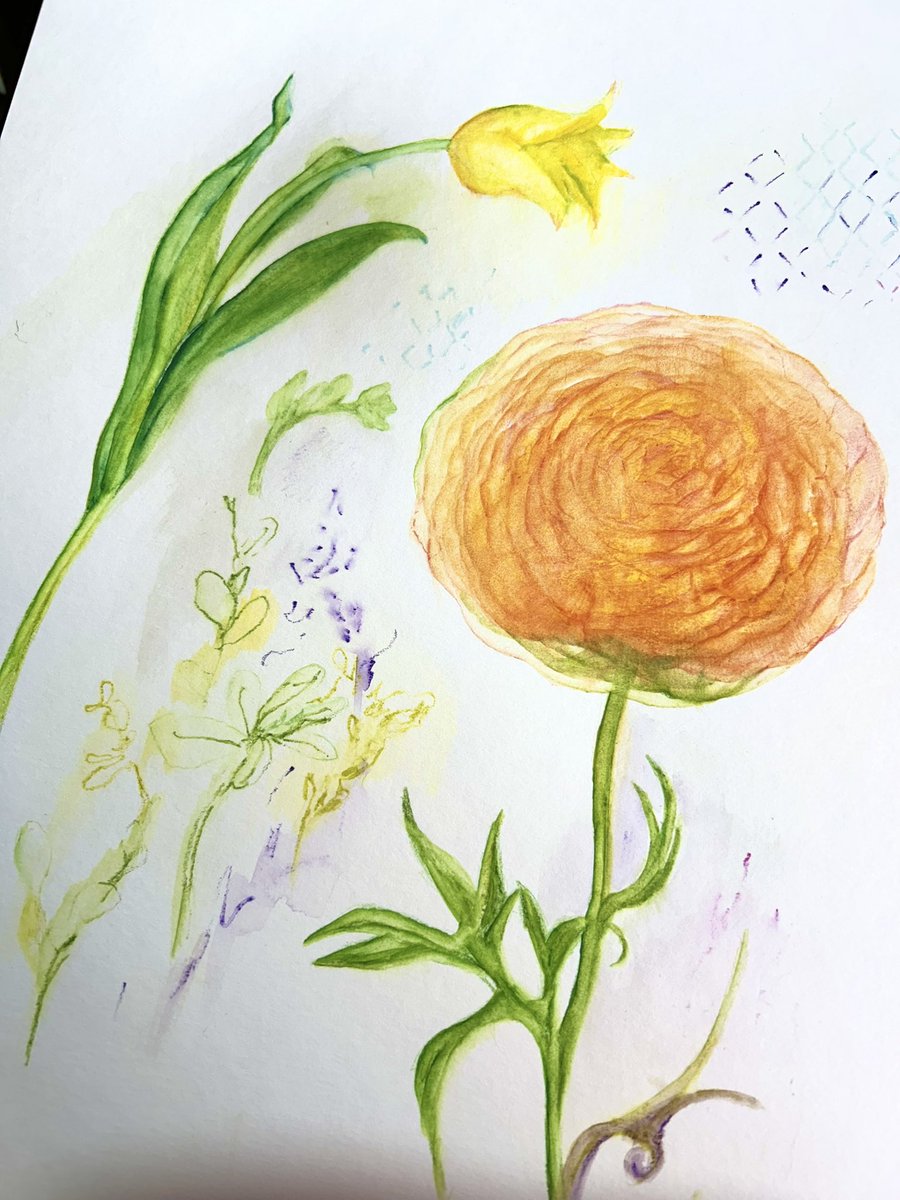 3月にシェアアトリエのギャラリースペースで個展をすることになったのですが
自由度の高い場なので
久々にスケッチやドローイングを中心に植物をテーマにした個展にしようか考え中です