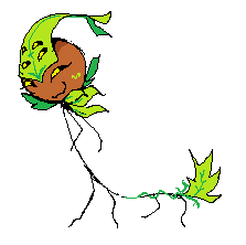 GenericAnimato1's tweet photo. Spring my favorite https://t.co/JKDO7gbJSr
